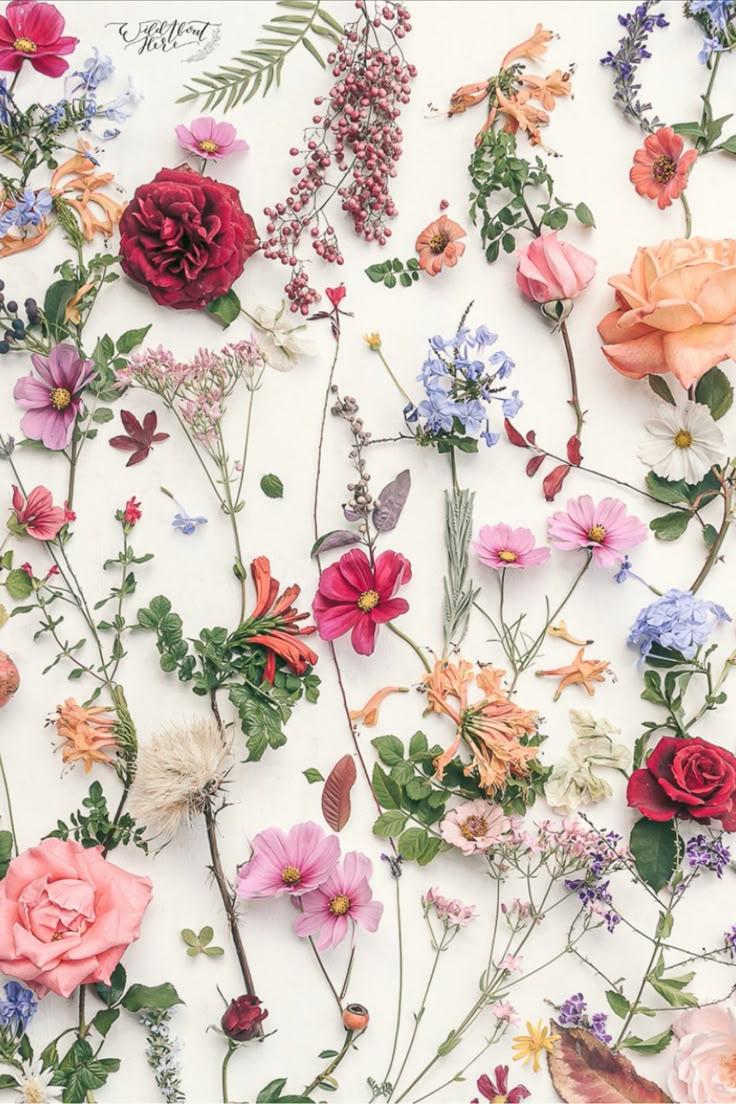 Secret Garden's Fragrant Embrace